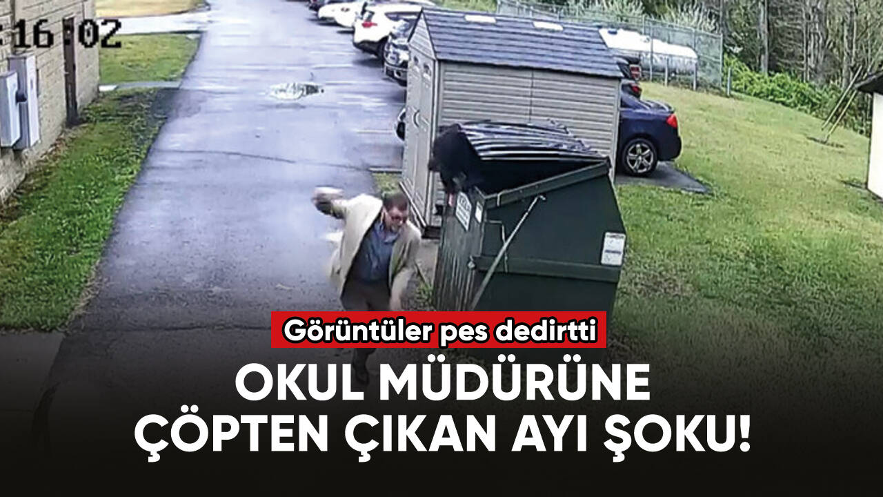 Okul müdürüne çöpten çıkan ayı şoku!