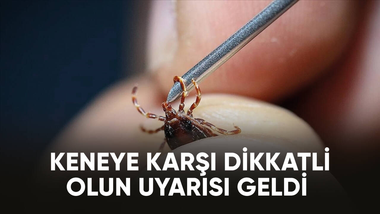 Keneye karşı dikkatli olun uyarısı!