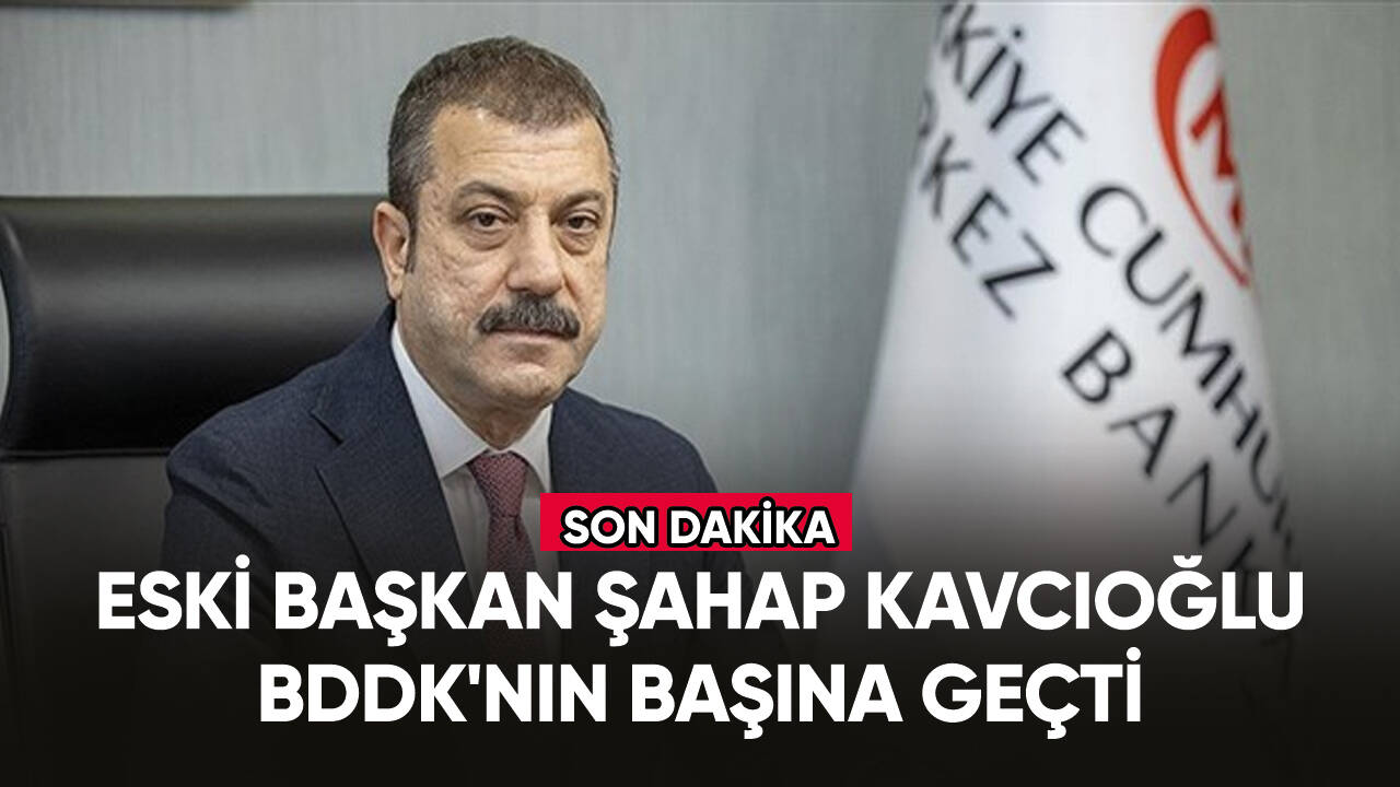 Şahap Kavcıoğlu, BDDK'nın başına geçti