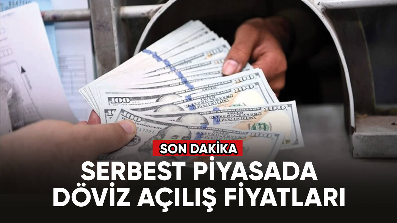 Serbest piyasada döviz hareketli başladı