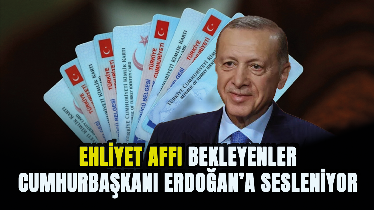 Ehliyet mağdurları Cumhurbaşkanı Erdoğan'a sesleniyor! 1 kereye mahsus..