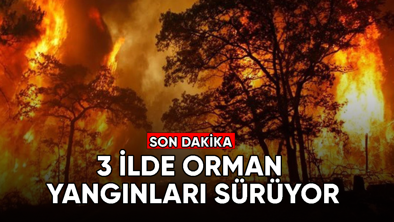 Hatay, Mersin ve Çanakkale'de orman yangınları devam ediyor.