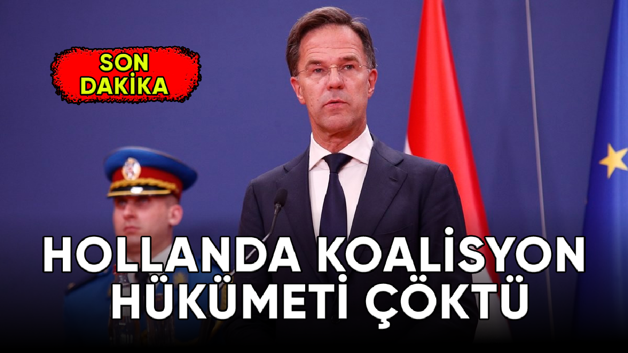 Hollanda hükümeti, göç nedeniyle çöktü