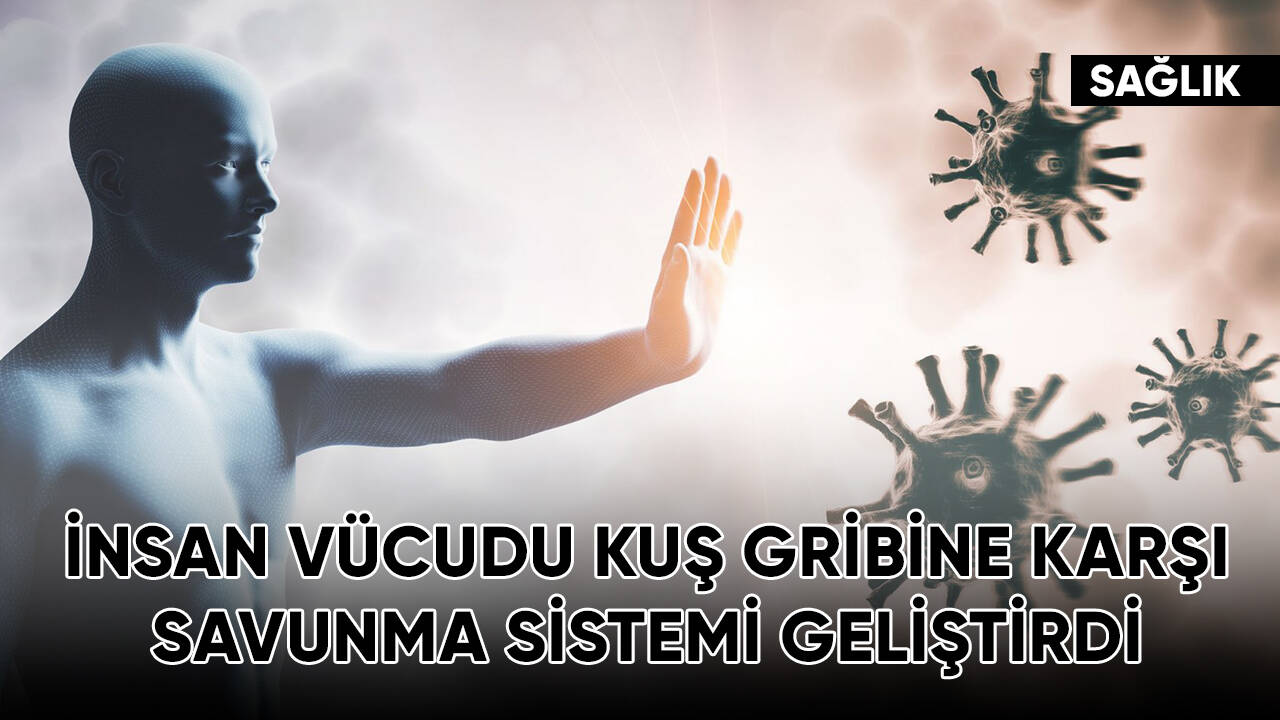 İnsan vücudu kuş gribine karşı savunma sistemi geliştirdi