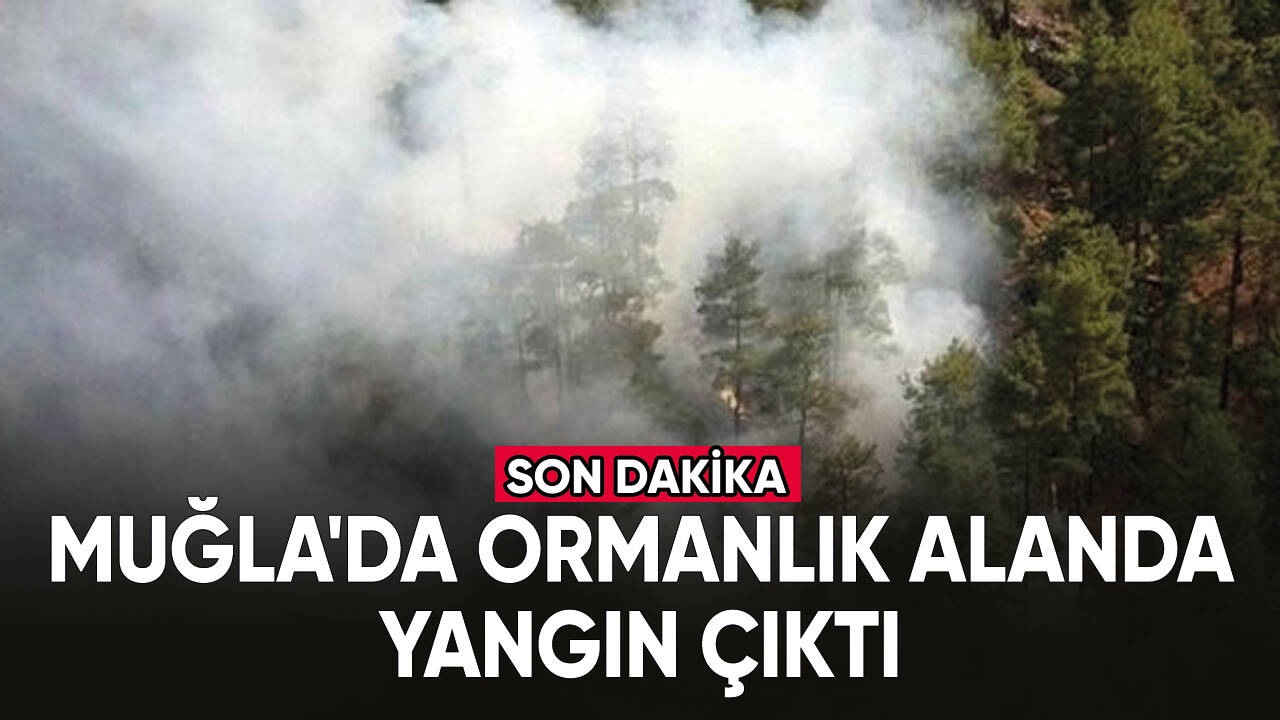 Son dakika... Muğla'da ormanlık alanda yangın çıktı