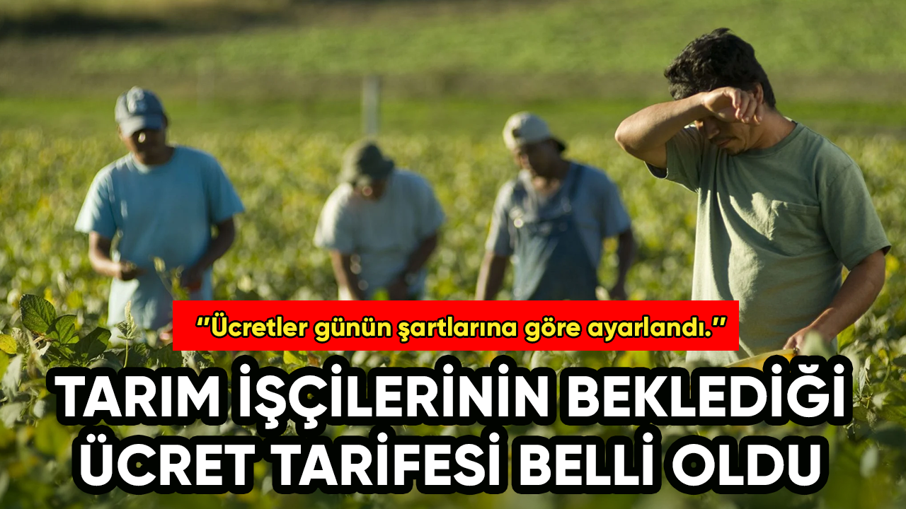 Tarım işçilerinin beklediği ücret tarifesi belli oldu