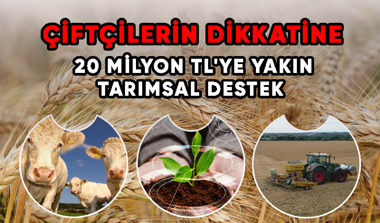 20 milyon TL'ye yakın tarımsal destek bugün hesaplarda