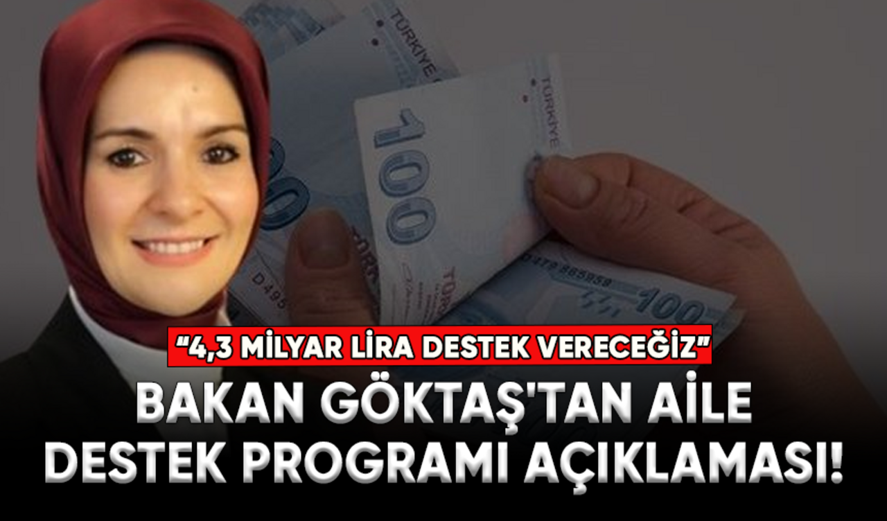 Bakan Göktaş'tan Türkiye Aile Destek Programı açıklaması!