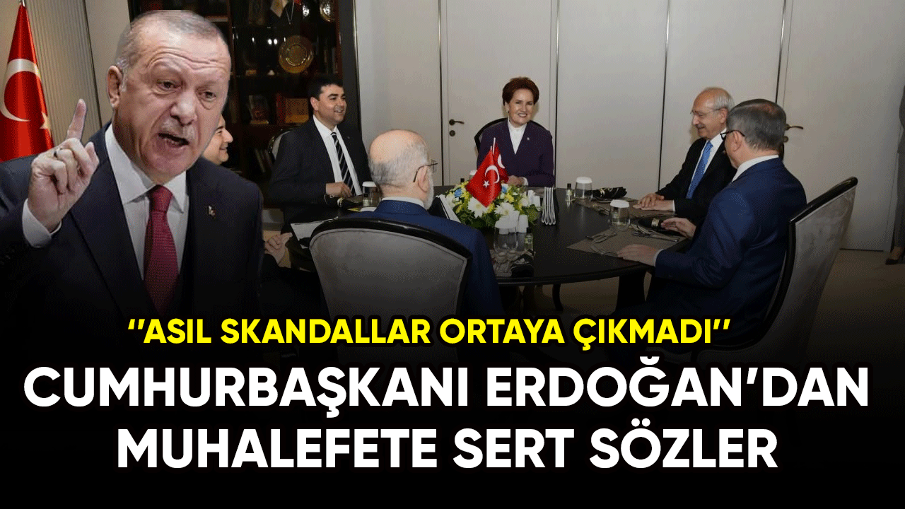 Cumhurbaşkanı Erdoğan'dan muhalefete sert tepki