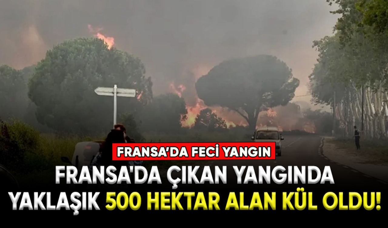 Fransa'da çıkan yangında yaklaşık 500 hektar alan kül oldu!