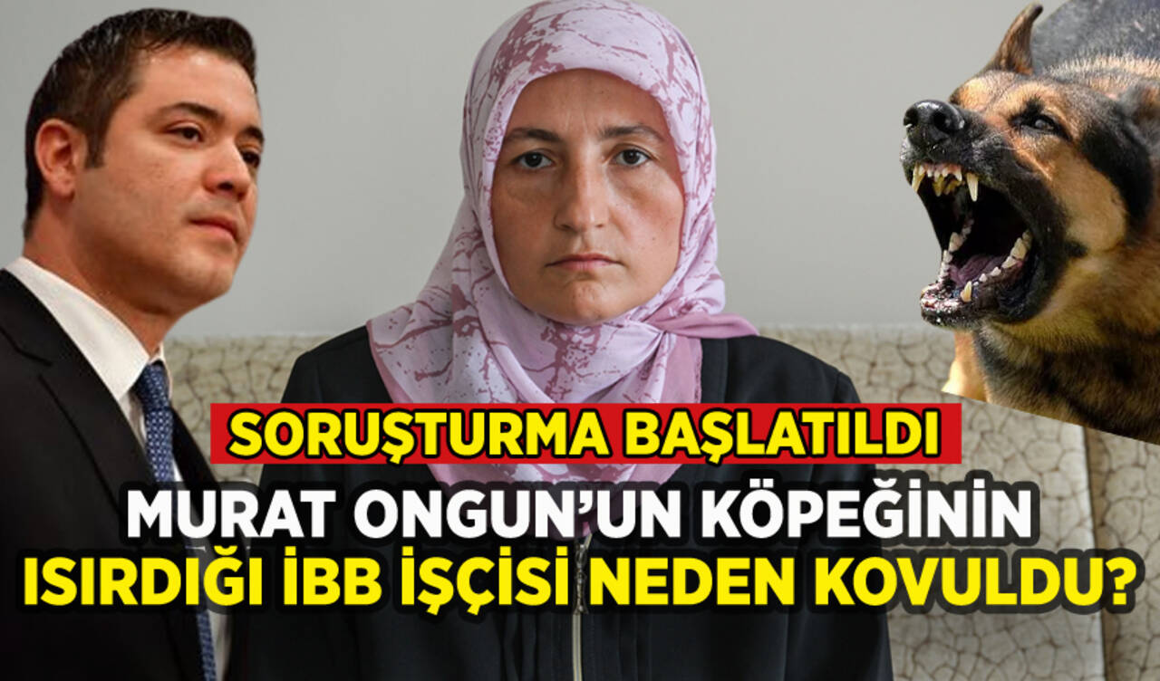 İBB'de Murat Ongun'un köpeğinin ısırdığı işçi işten atıldı: Olayın ayrıntıları ortaya çıktı