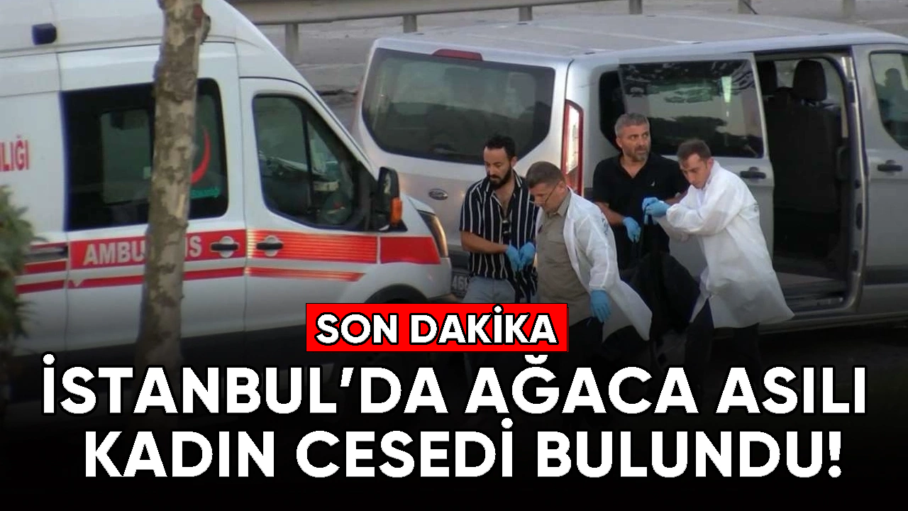 İstanbul'da ağaca asılı kadın cesedi bulundu!