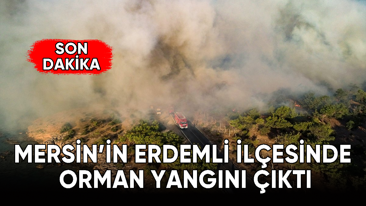 Mersin'in Erdemli ilçesinde yangın çıktı!