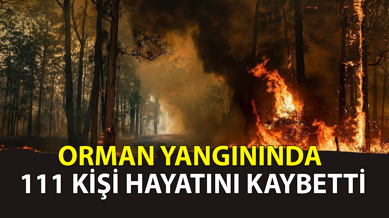 Orman yangınında 111 kişi hayatını kaybetti