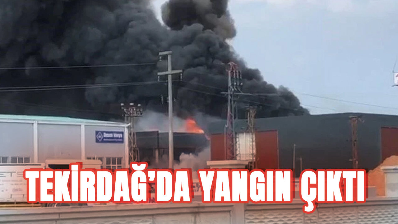 Tekirdağ'da kimya fabrikasında yangın