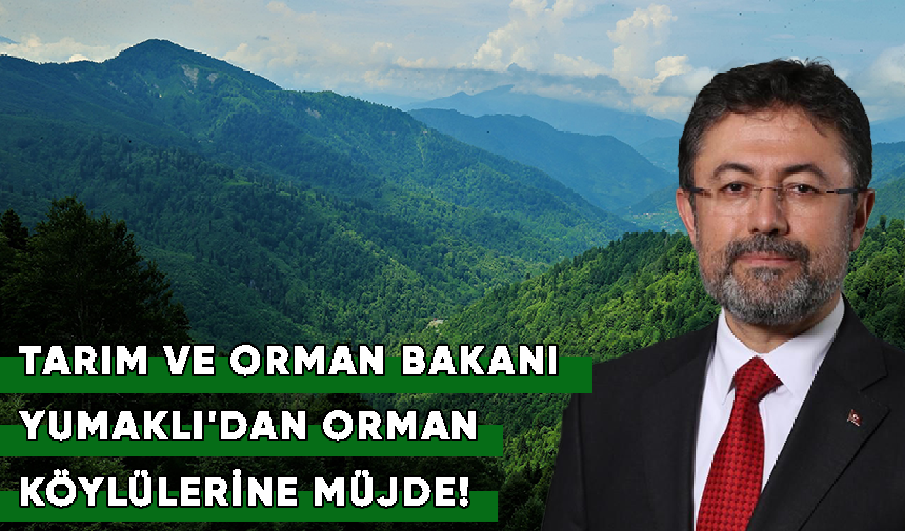 Tarım ve Orman Bakanı Yumaklı'dan orman köylülerine bir müjde!