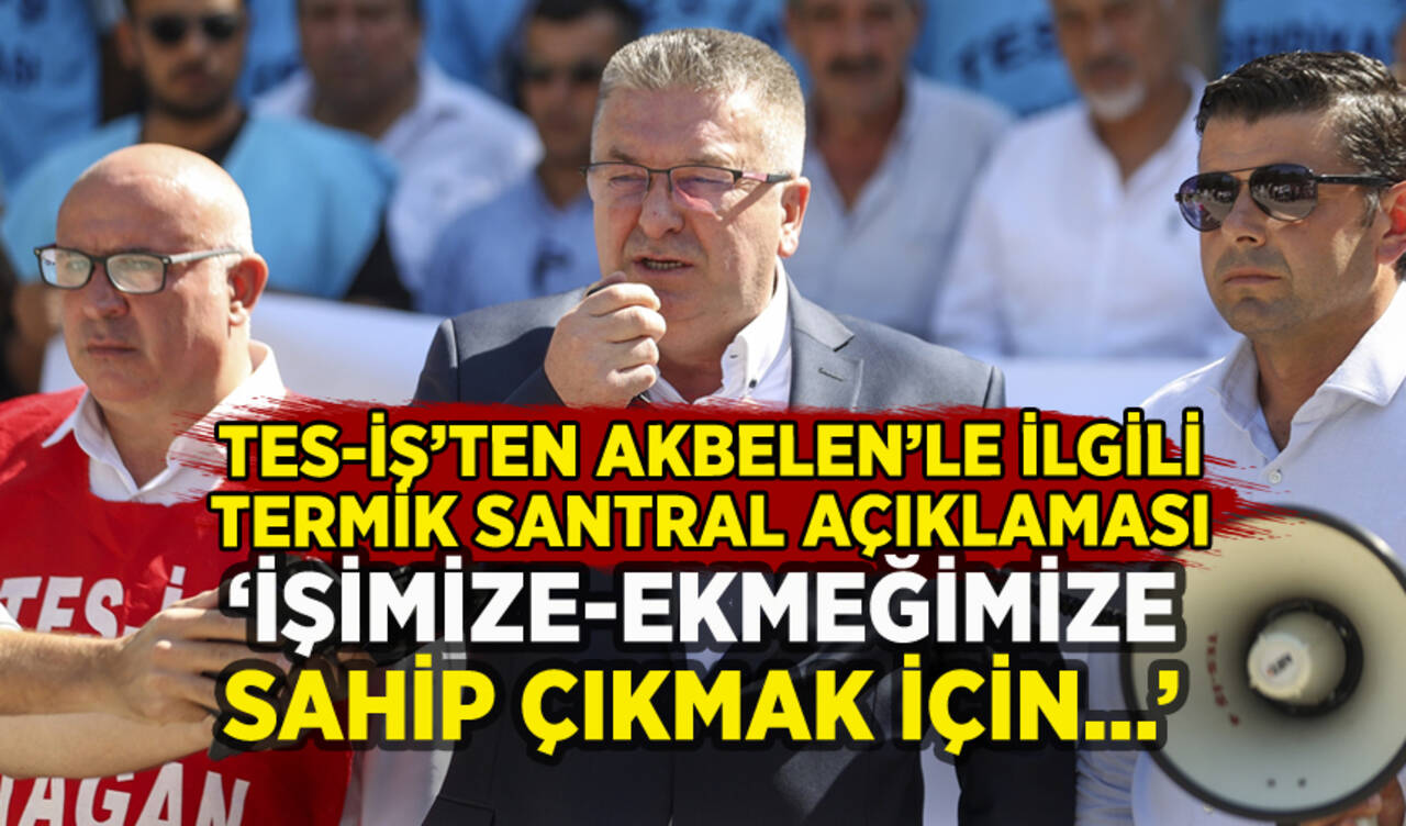 TES-İŞ'ten Muğla'daki termik santralle ilgili açıklama: 'İşimize-ekmeğimize sahip çıkmak için...'