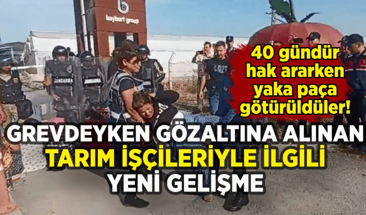 Agrobay Seracılık'ta grevdeyken gözaltına alınan işçilerle ilgili yeni gelişme