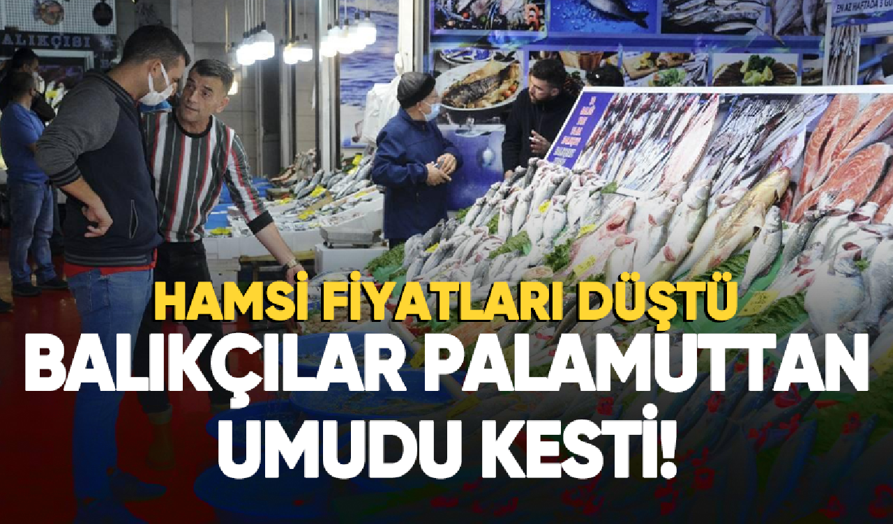 Balıkçılar palamuttan umudu kesti! Hamsi fiyatları düştü