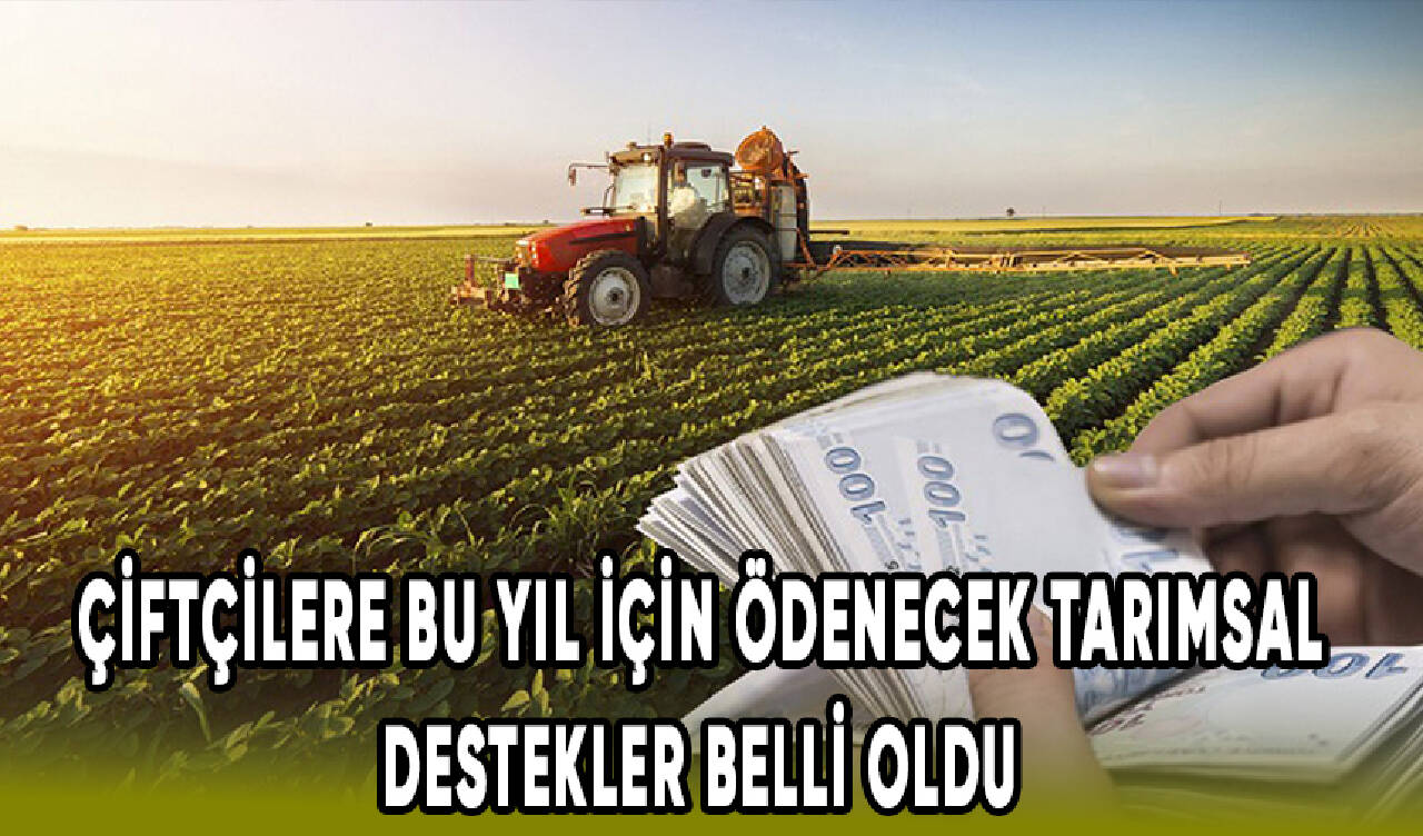 Çiftçilere bu yıl için ödenecek tarımsal destekler belli oldu