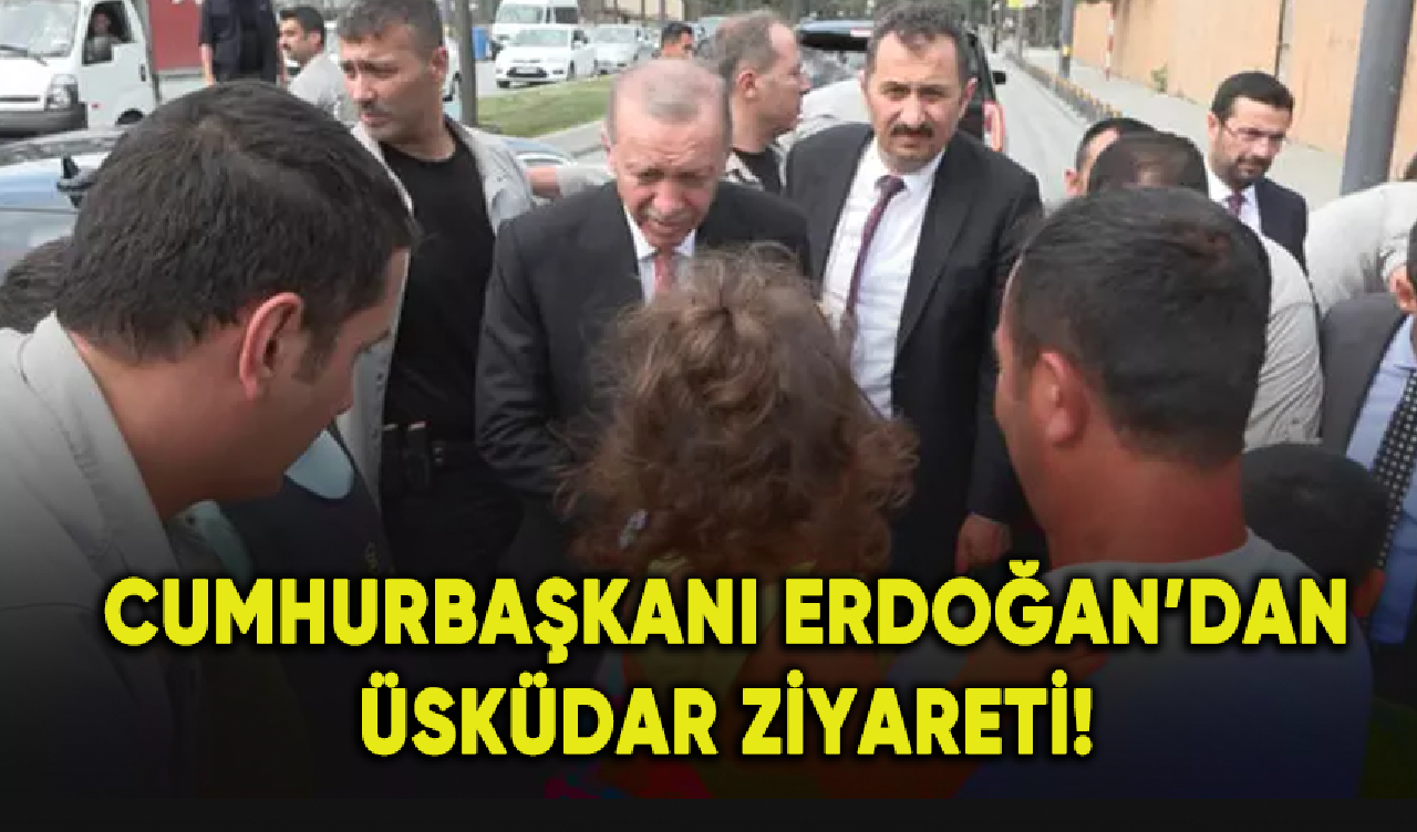 Cumhurbaşkanı Erdoğan vatandaşların sorunlarını dinledi!