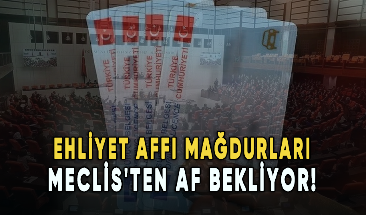 Ehliyet affı mağdurları Meclis'ten af bekliyor!