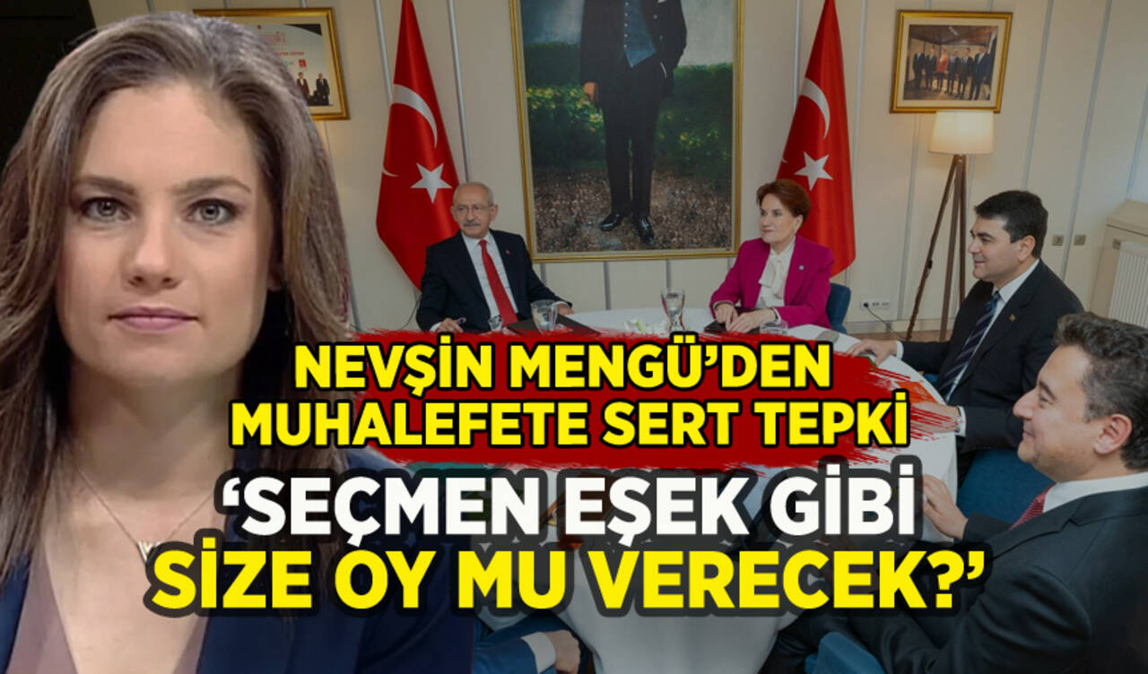 Nevşin Mengü'den muhalefete sert tepki: 'Seçmen eşek gibi size oy mu verecek?'