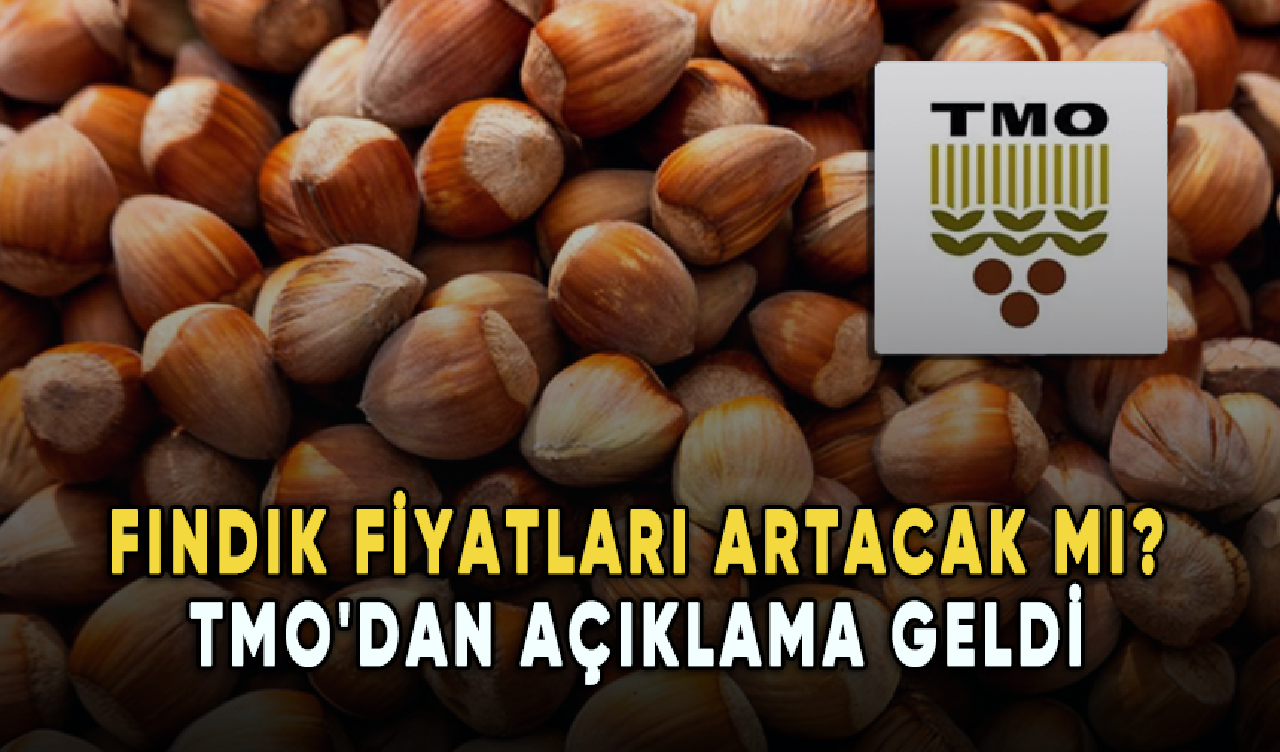 Fındık fiyatları artacak mı? TMO'dan açıklama geldi...