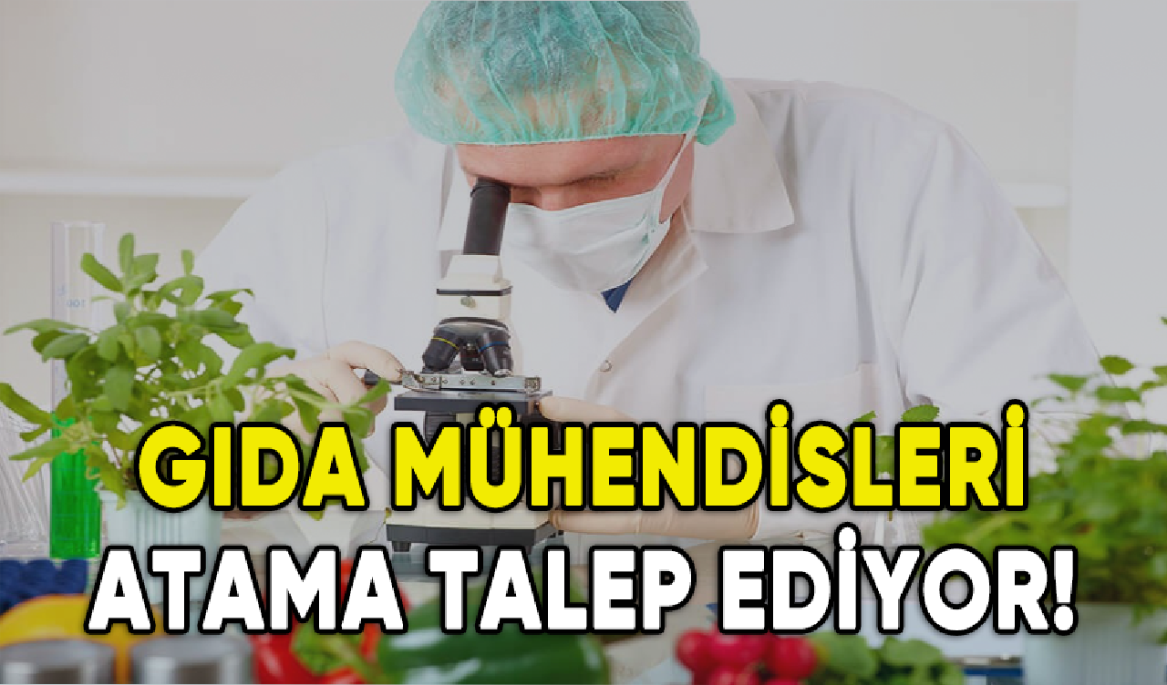 Gıda mühendisleri atama talep ediyor!