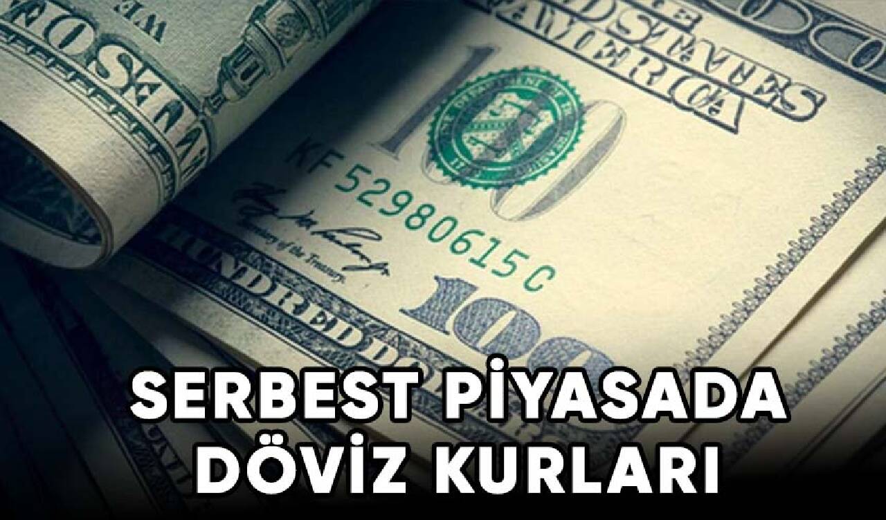 Serbest piyasada döviz kurları