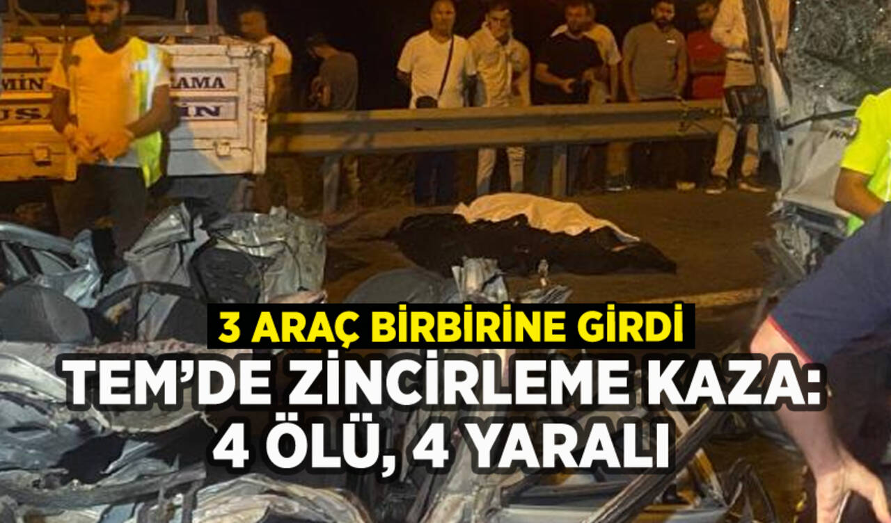 TEM'de feci kaza: 4 ölü, 4 yaralı