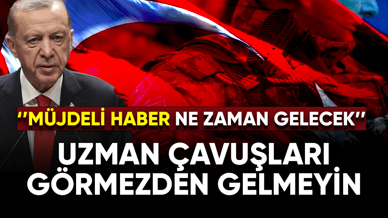 Uzman çavuşları görmezden gelmeyin!