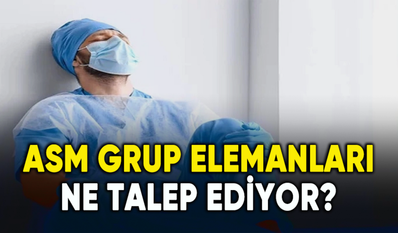 ASM Grup Elemanları ne talep ediyor?