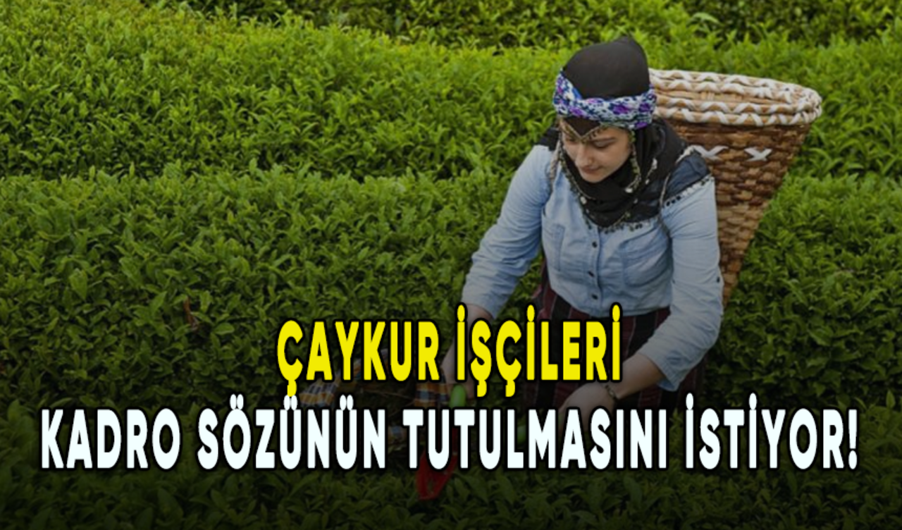 ÇAYKUR işçileri kadro sözünün tutulmasını istiyor!