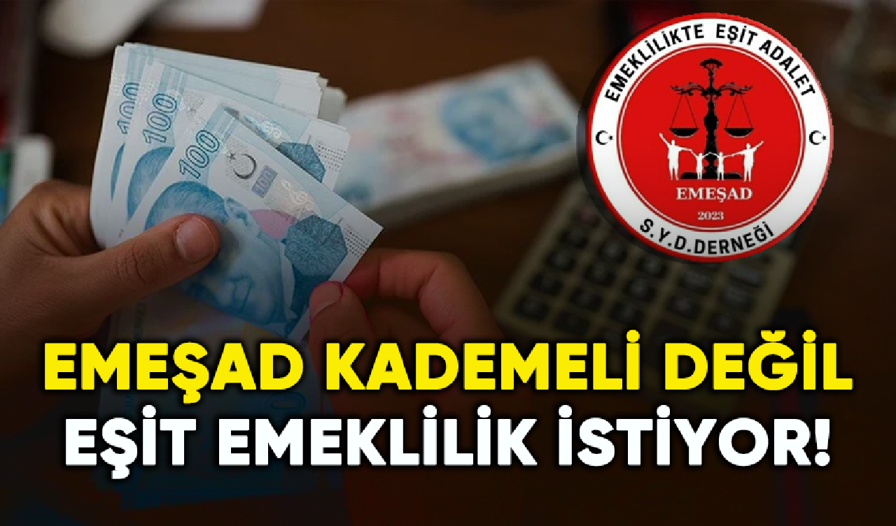 EMEŞAD kademeli değil eşit emeklilik istiyor!