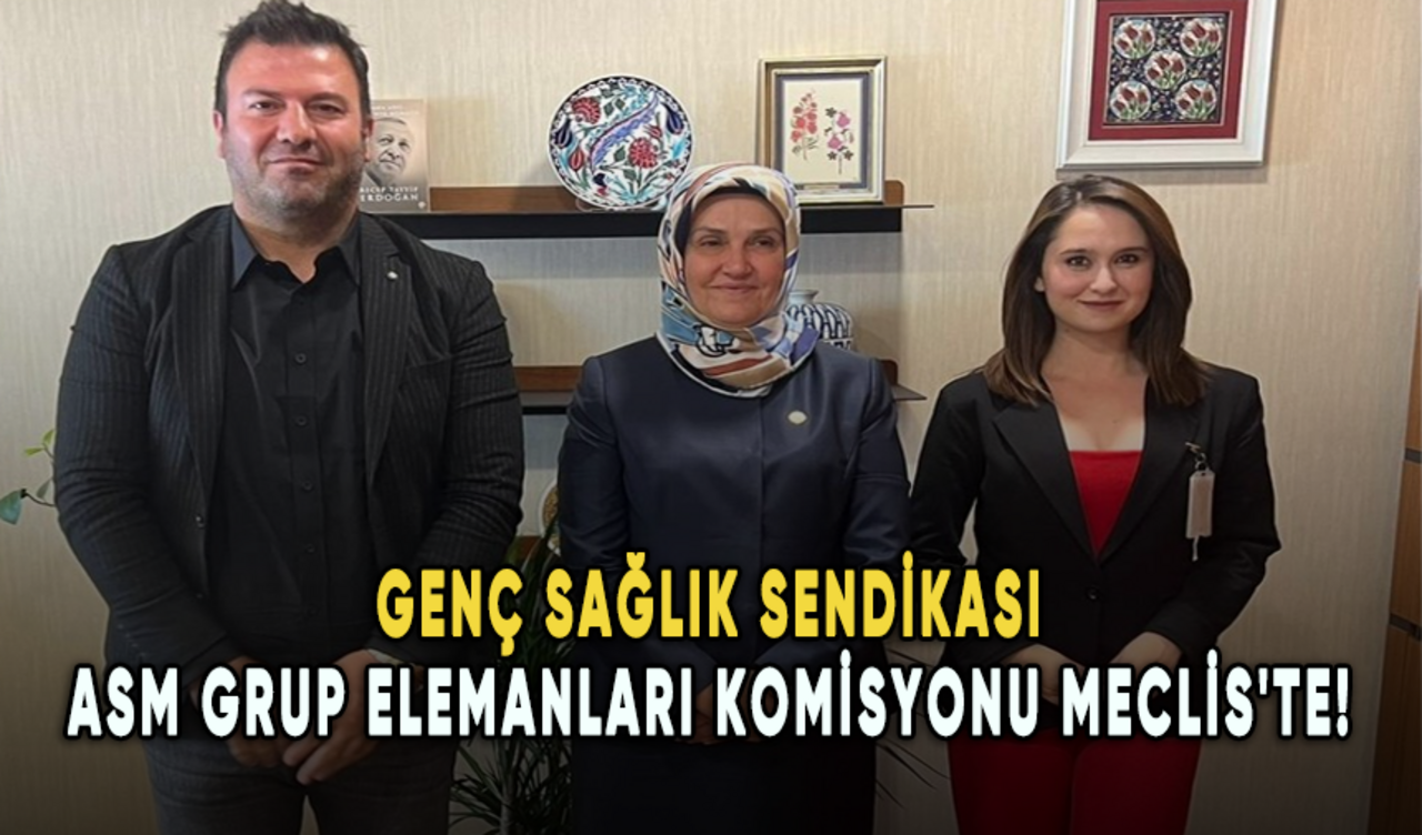 Genç Sağlık Sendikası ASM Grup Elemanları Komisyonu Meclis'te!