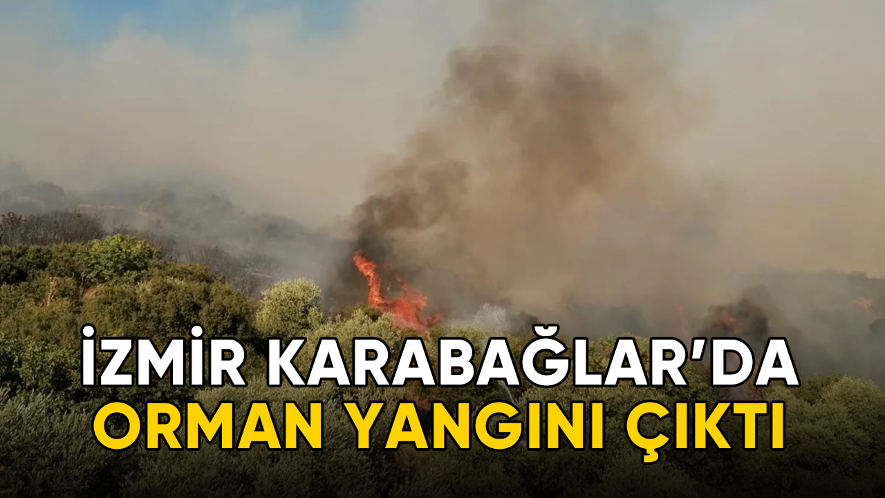 İzmir Karabağlar'da orman yangını çıktı