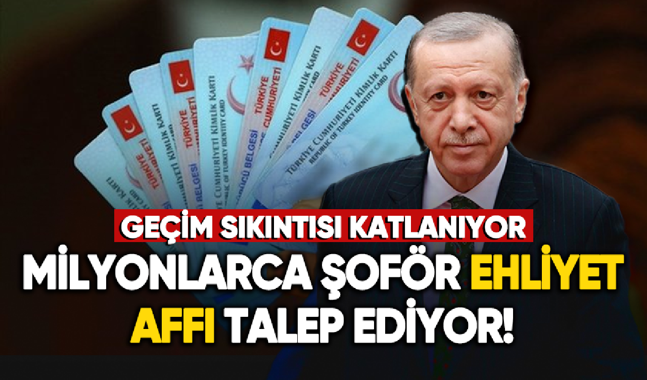 Milyonlarca şoför ehliyet affı talep ediyor!