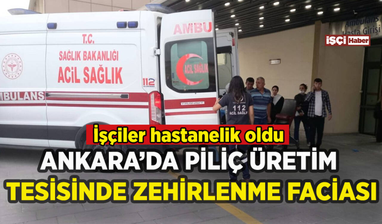 Ankara'da piliç üretim tesisinde zehirlenme: İşçiler hastanelik oldu