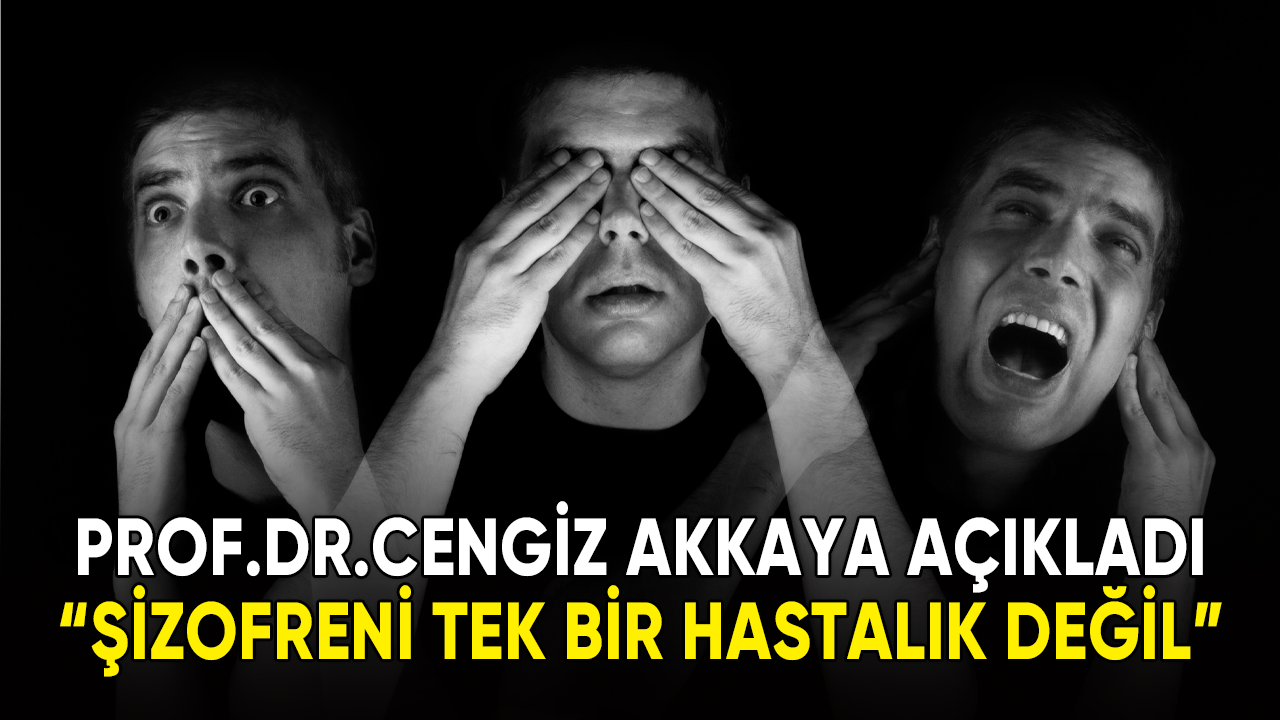 Prof. Dr. Akkaya: Şizofreni tek bir hastalık değildir