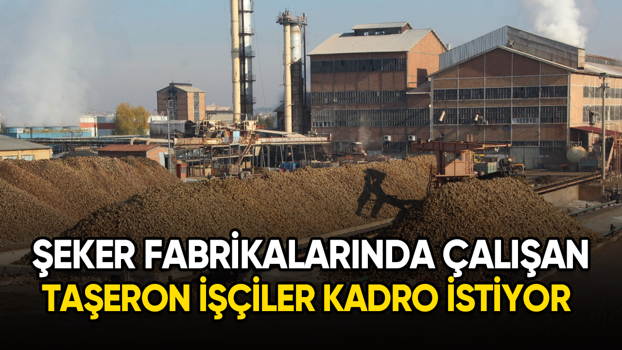 Şeker fabrikalarında çalışan taşeron işçiler kadro istiyor