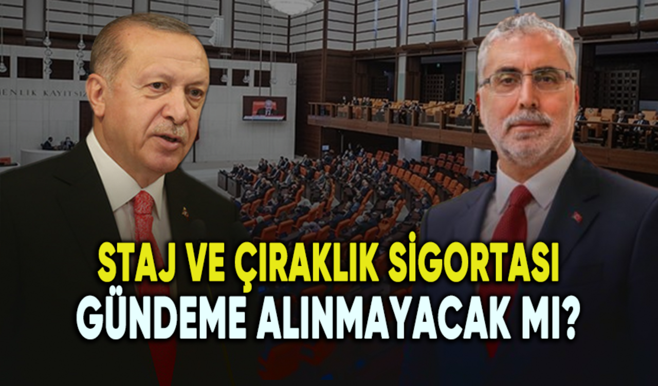 Staj ve çıraklık sigortası gündeme alınmayacak mı?