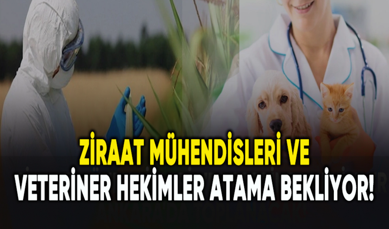 Ziraat mühendisleri ve veteriner hekimler atama bekliyor!