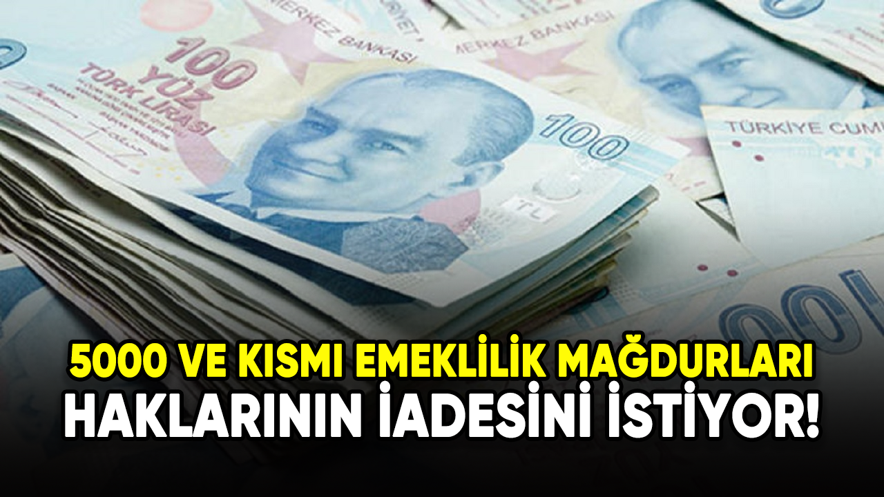 5000 ve kısmi emeklilik mağdurları haklarının iadesini istiyor