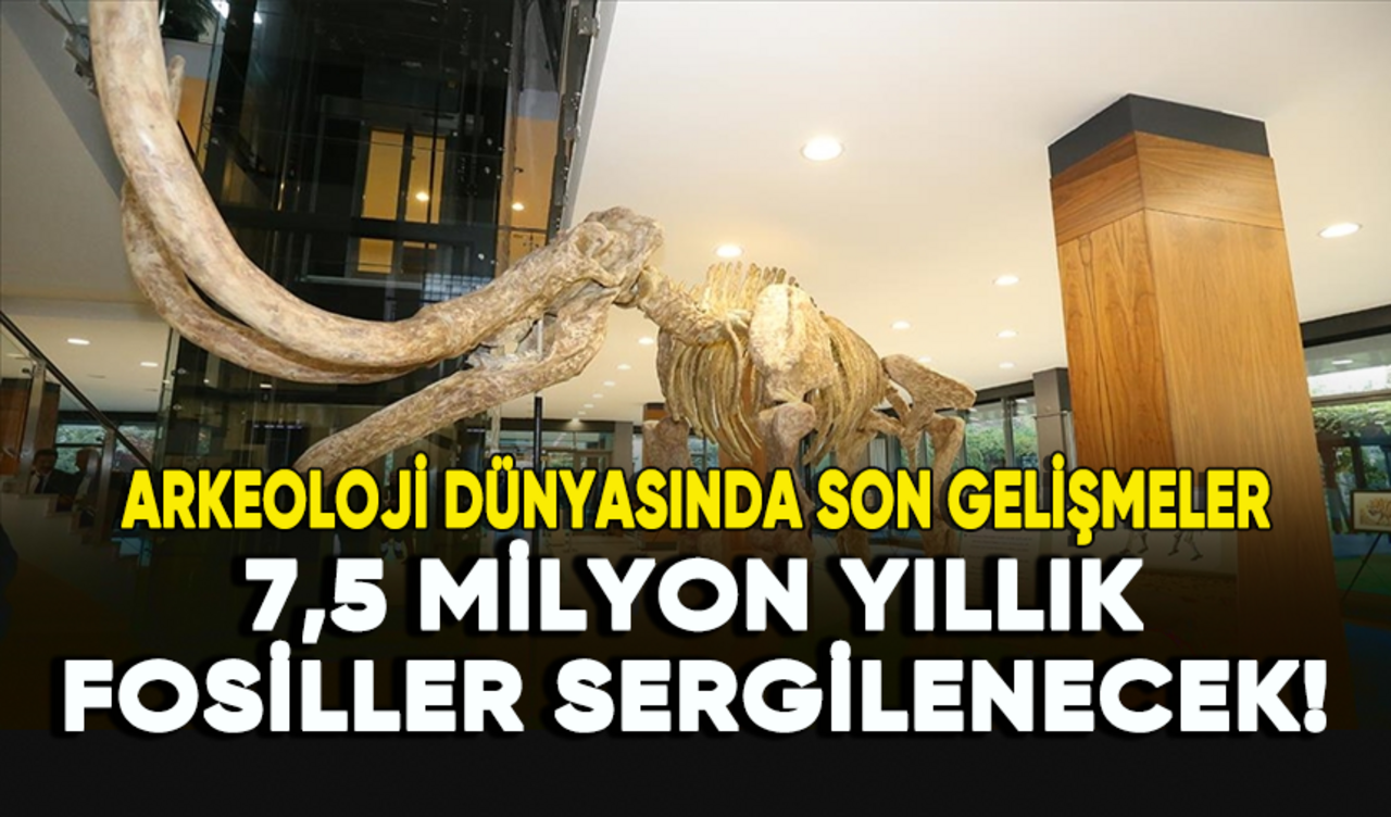 Arkeoloji dünyasında son gelişmeler: 7,5 milyon yıllık fosiller sergilenecek!