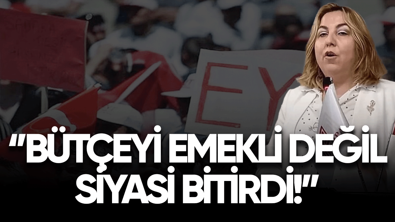 Arzu Lastikçi: Bütçeyi emekli değil siyasi bitirdi!