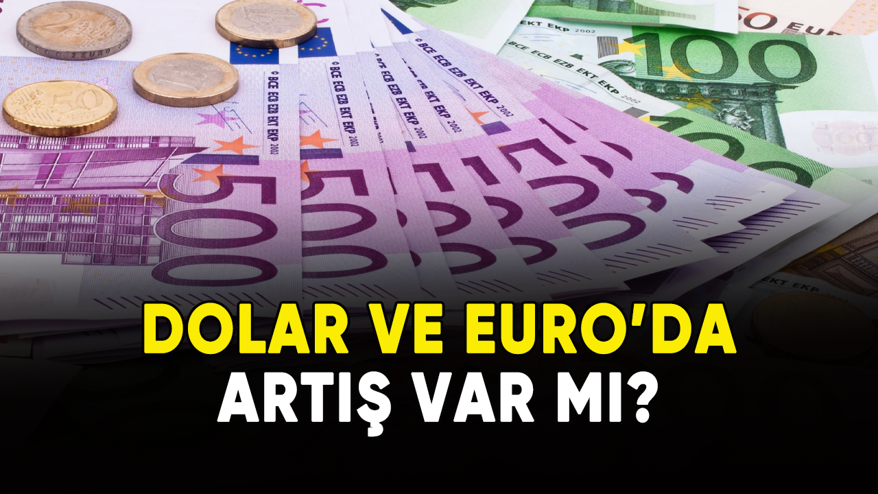 Dolar ve Euro'da artış var mı?