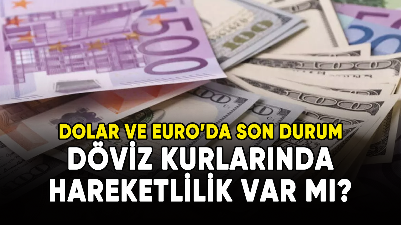 Döviz kurlarında hareketlilik var mı?