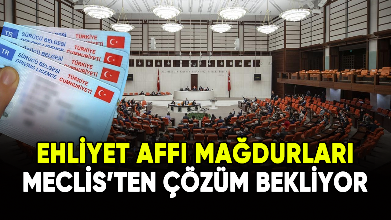 Ehliyet affı mağdurları Meclis'ten çözüm bekliyor