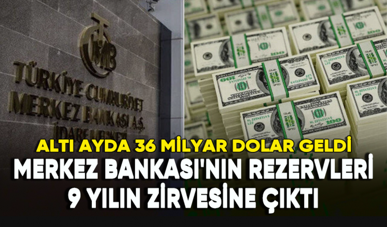 Merkez Bankası'nın rezervleri 9 yılın zirvesinde: Altı ayda 36 milyar dolar geldi